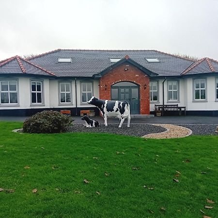 Creeghduff Lodge Downpatrick Buitenkant foto