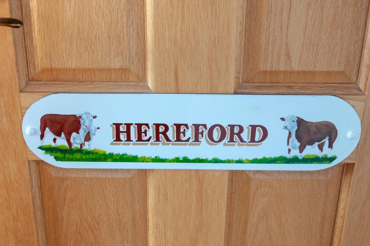Creeghduff Lodge Downpatrick Buitenkant foto