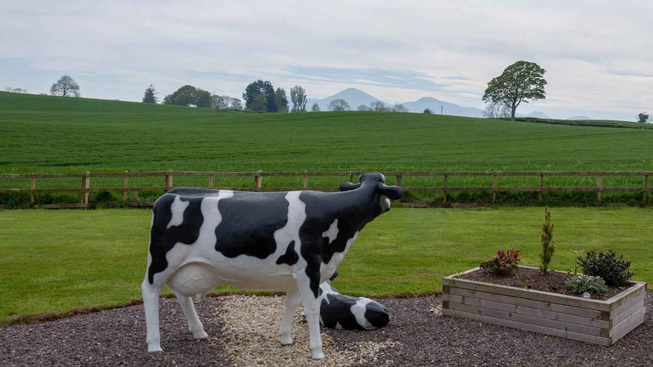Creeghduff Lodge Downpatrick Buitenkant foto