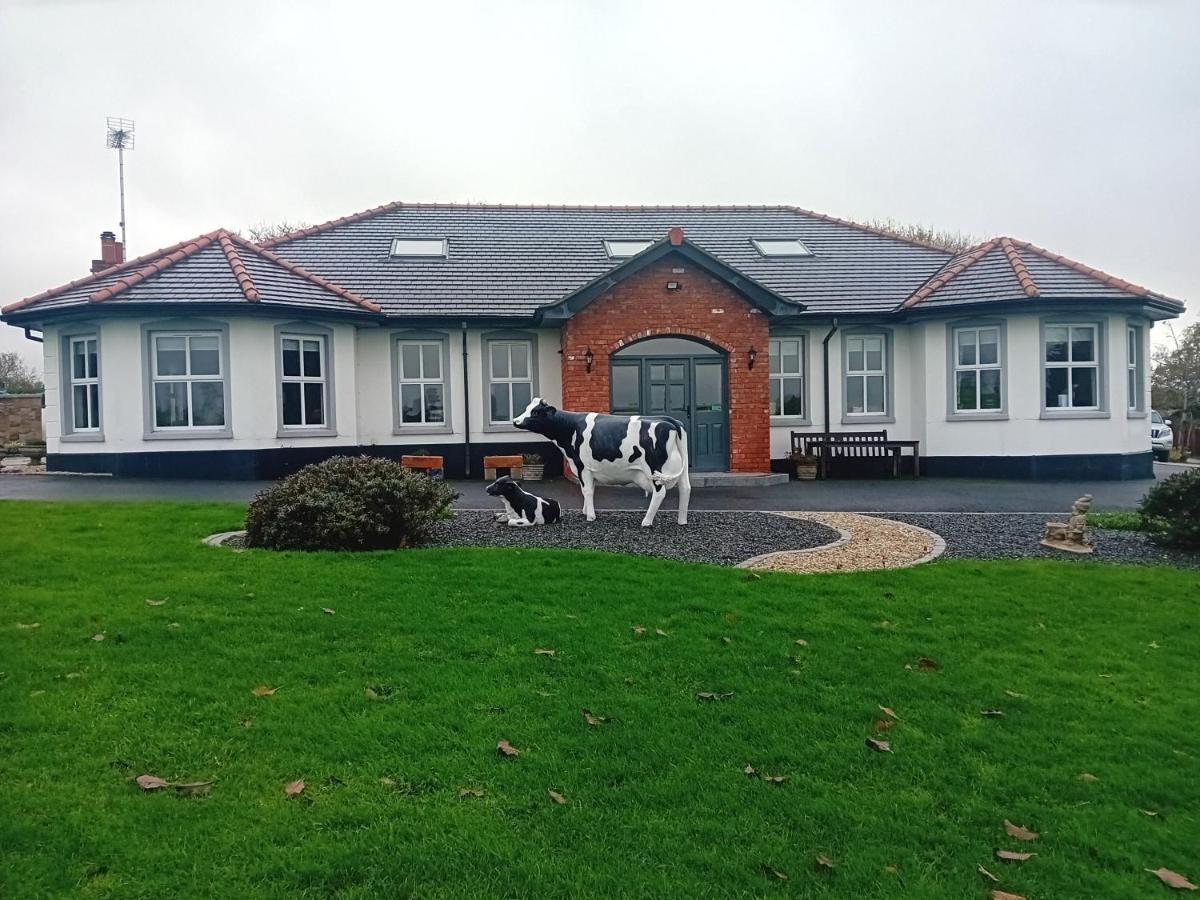 Creeghduff Lodge Downpatrick Buitenkant foto